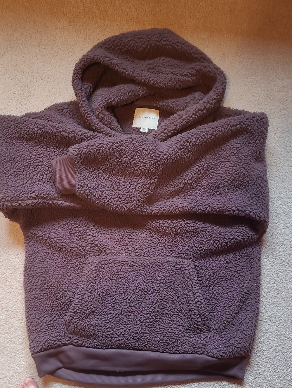 American Eagle Cozy Plush Hooded Pullover in Dusty Plum